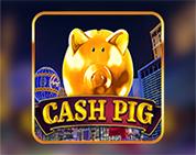 Cash Pig